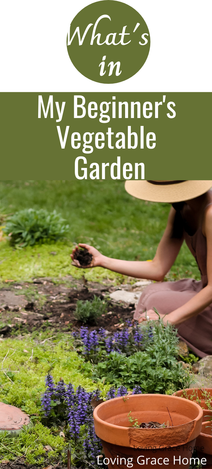 What I'm Growing In My Beginner's Vegetable Garden - Loving Grace Home